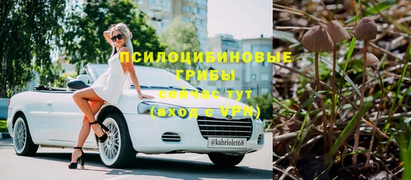 a pvp Алексин