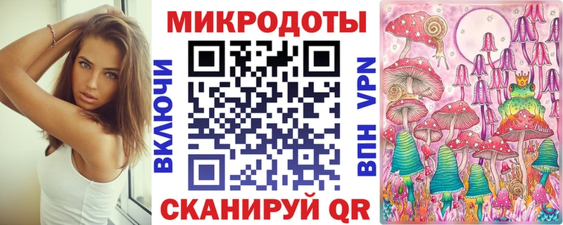 Галлюциногенные грибы Psilocybe  Староминская 